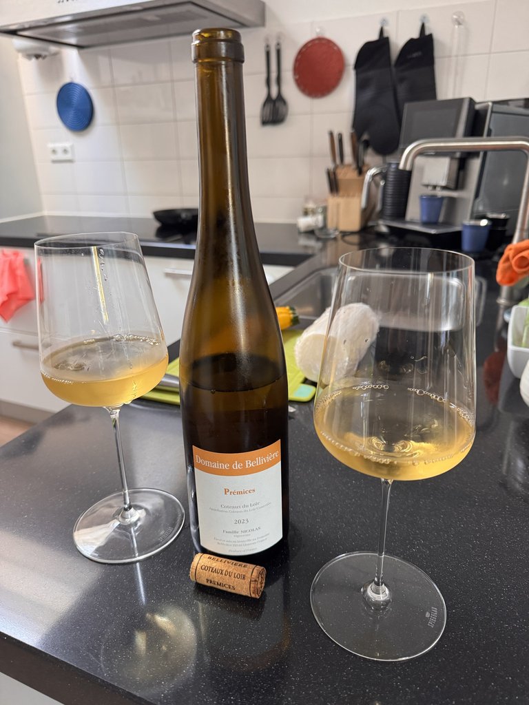 Domaine de Bellivière Prémices Coteaux du Loir 2023